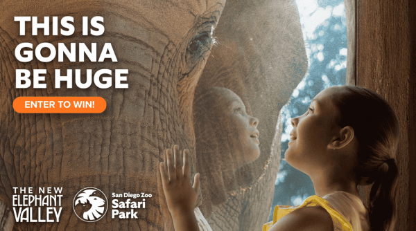 Promo SDZSP ElephantValley